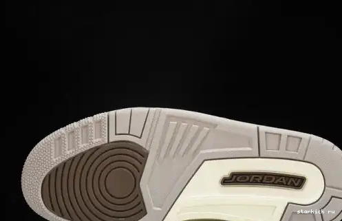 Palomino  CT8532-102  Retro Jordan 3 CT8532-102 0611